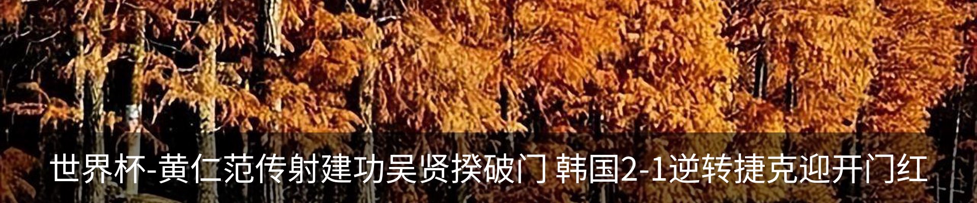 资讯动态