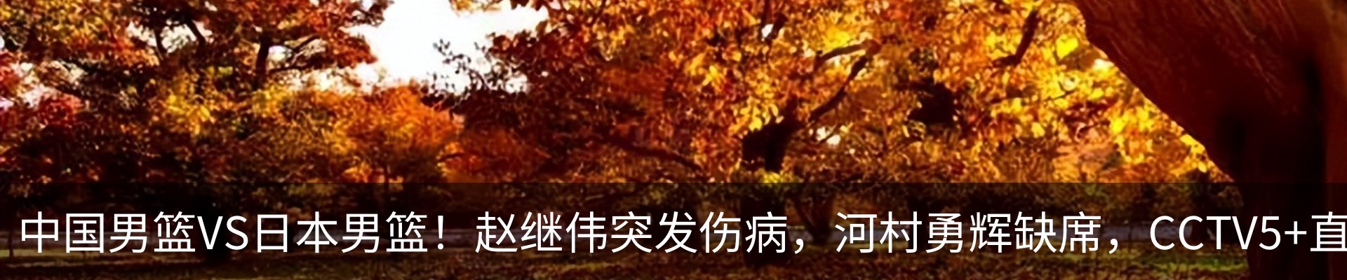 资讯动态