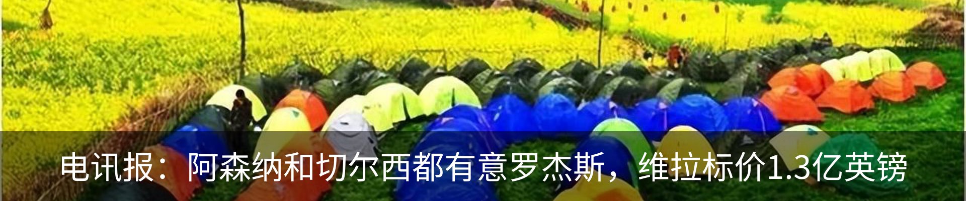 资讯动态